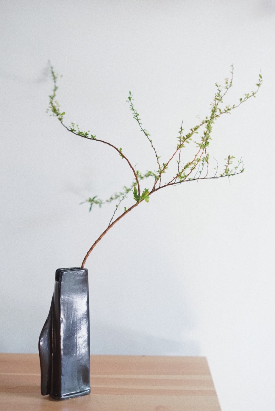 06d82a8e-a3cd-4931-85af-e40db7e353f0